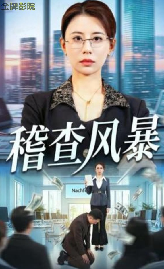 稽查风暴